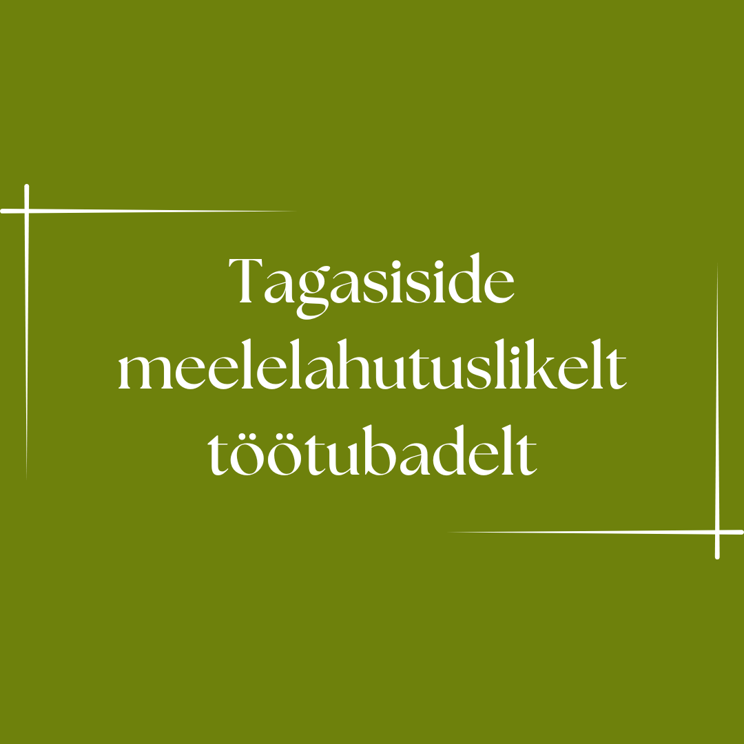Tagasiside meelelahutuslikelt töötubadelt